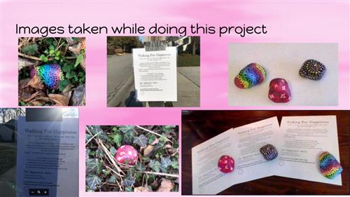 Painted rocks in gardens around the neighborhood. Directions on how to be happy attached to painted rocks 